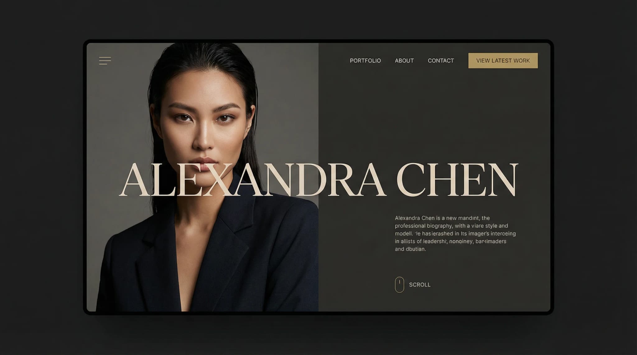 Website design example for Professional Modeling